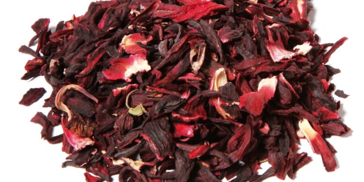 Secrets de femme: Ce que vous ignorez sur le bissap