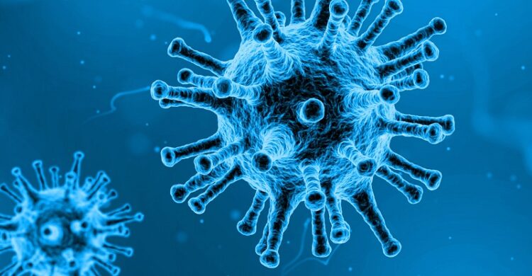 Maladies infectieuses