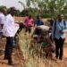 Burkina Faso : Une trentaine d’inspecteurs outillés sur les champs de semences certifiées de blé