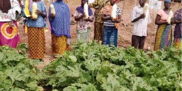 Les femmes de Toeni plus autonomes grâce à  un jardin potager mis en place par les forces de défense et de sécurité