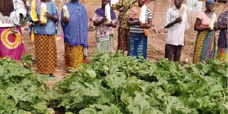 Les femmes de Toeni plus autonomes grâce à  un jardin potager mis en place par les forces de défense et de sécurité
