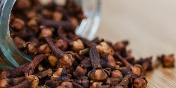 Le clou de girofle, un trésor de la nature à intégrer dans votre quotidien