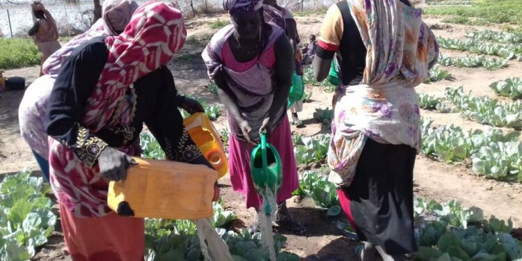Mauritanie : Un don de 17 millions de dollars en faveur de l’entreprenariat féminin