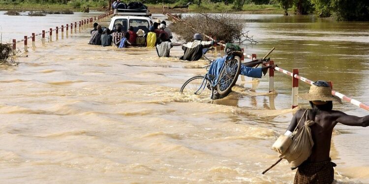 Les précautions à prendre en cas de fortes pluies