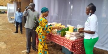 Association Femmes 2000 valorise les produits forestiers non ligneux 