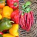 Cuisine : Une autre technique pour conserver les poivrons et le piment