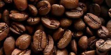 Beauté : Comment faire un bon gommage de la peau avec du café