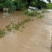 Inondations au Burkina Faso : Plus de 16 mille personnes sinistrées
