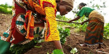 Entrepreneuriat : 300 femmes formées en Afrique du Sud