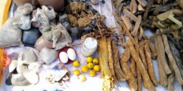 Alerte sur le danger des produits aphrodisiaques « 100% naturels » avec risques de crise cardiaque