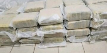 Niger : 162 kg de cannabis  camouflés dans un cortège de mariage  