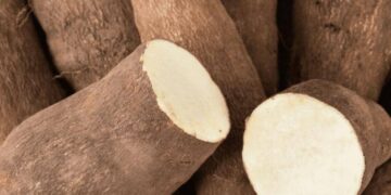 Astuce : Comment conserver les ignames coupées