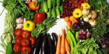 Nature : Tout savoir sur les légumes bio et les légumes non bio