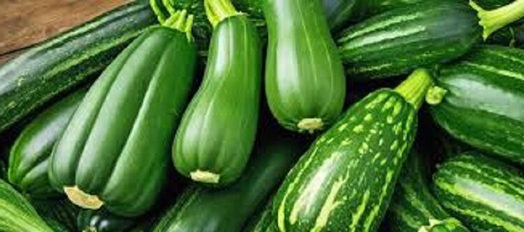 Tout savoir sur la courgette pour une meilleure consommation