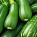 Tout savoir sur la courgette pour une meilleure consommation