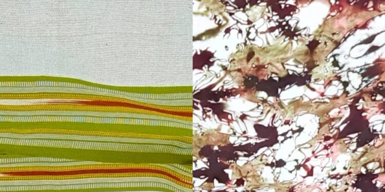 8 mars 2025 : Le ministère de l’action humanitaire n’est impliqué dans la confection ni la commercialisation de ces pagnes