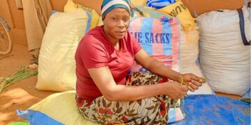 Fête de fins d’année : Les ouagalais s’activent