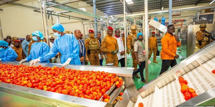 Transformation de tomates : L’usine SOFATO va générer environ 2500 emplois