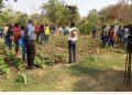 Burkina Faso : Une journée portes ouvertes pour promouvoir l’agro-écologie