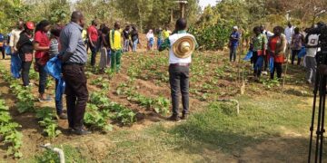 Burkina Faso : Une journée portes ouvertes pour promouvoir l’agro-écologie