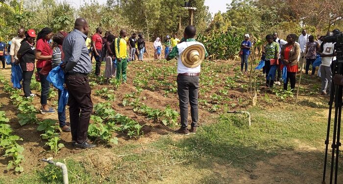 Burkina Faso : Une journée portes ouvertes pour promouvoir l’agro-écologie