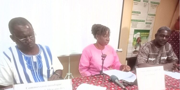 Promotion des semences paysannes :  La 2e édition de l’initiative « de la graine à la table » se tiendra du 21 au 22 février 2025