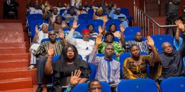 Assemblée législative de transition : le projet de loi portant statut de l’artiste voté à l’unanimité