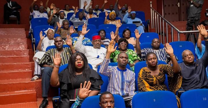 Assemblée législative de transition : le projet de loi portant statut de l’artiste voté à l’unanimité