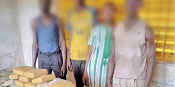 Sabou : La gendarmerie nationale démantèle un réseau de fournisseurs de drogue