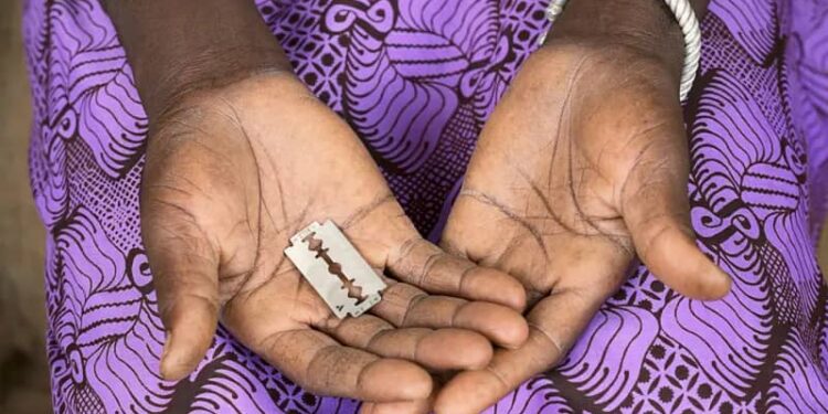 Gambie : La Cour suprême relance le débat sur l’excision malgré les inquiétudes des défenseurs des droits des femmes