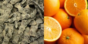 Astuce beauté : Le nep nep et la peau d’orange, essentiels pour l’éclat de votre peau