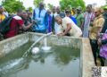 Site maraîcher du 8-Mars des femmes du village de Zongo : L’eau coule à flots