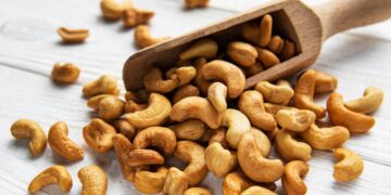 L’exportation de la noix brute de cajou, à nouveau autorisée