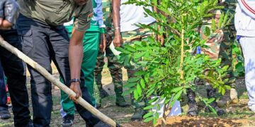 « L’Heure patriotique pour reverdir le Faso» : Plus de 4 600 plants médicinaux et fruitiers mis en terre