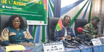 Reforestation : Le Burkina  vise 20 millions de plantes sous terre