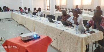 Santé-nutrition : Au Burkina, environ 70% des ménages consomment les bouillons « Cubes Maggi »