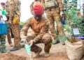Le Capitaine Ibrahim Traoré lance les bosquets à plantes médicinales à Guiba