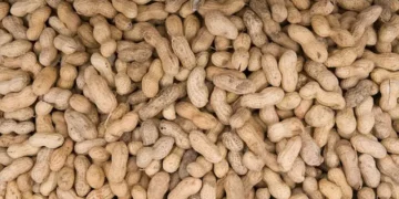À Ouaga, une dame vole au secours de deux petites vendeuses d’arachides