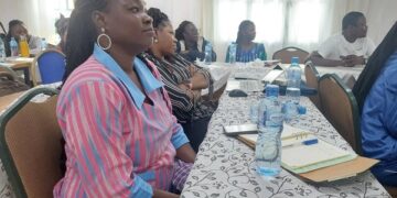 Burkina Faso : Des journalistes outillés sur la mortalité maternelle