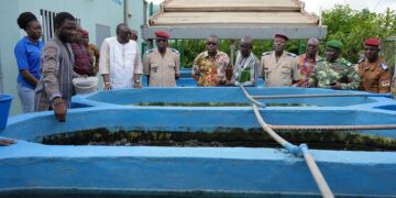 Une formation sur la pisciculture en cages flottantes, dédiée à 100 militaires