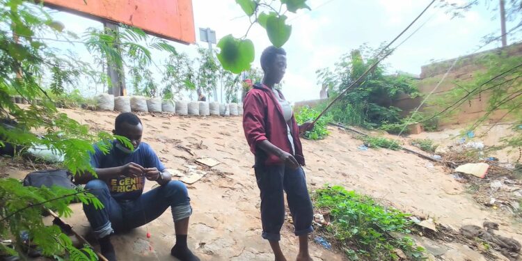 Barrage de Tanghin : L’expérience inédite de jeunes pêcheurs, en quête de poisson frais