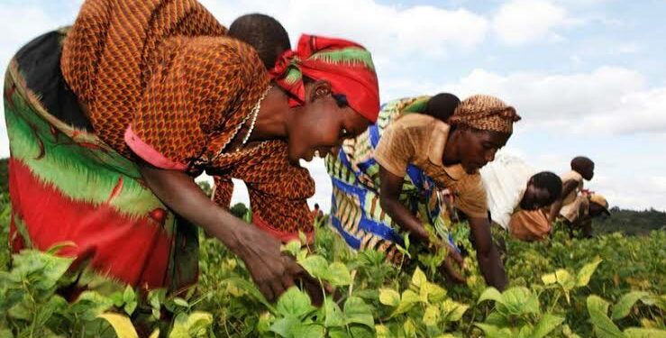 Barsalogho accueille la 28e Journée internationale de la Femme rurale le 15 octobre
