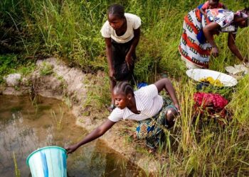 Maladies tropicales négligées : Le REMAPSEN appelle à l’action