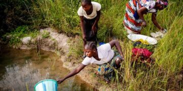 Maladies tropicales négligées : LE REMAPSEN appelle à l’action