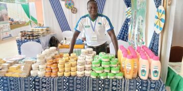 Scoops Takalé : Le beurre de karité au service de l’agroalimentaire, de la cosmétique et du bien-être